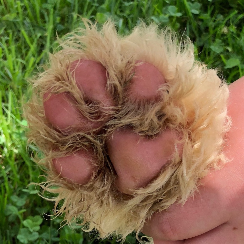 Meet your Posher, Matthew